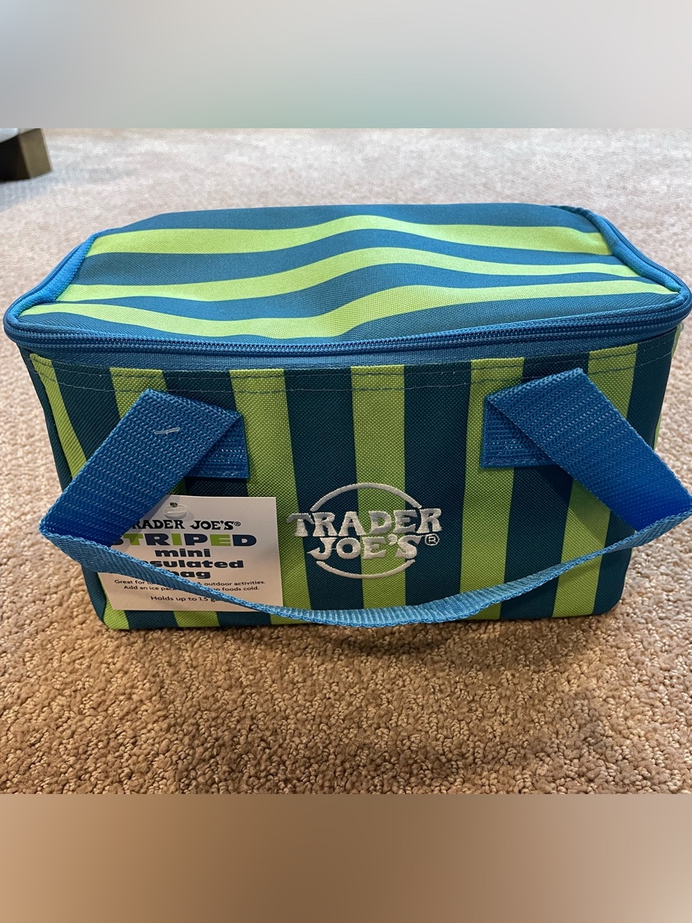 Trader Joe's Striped Soft Cooler Bag - Blue & Lime Green